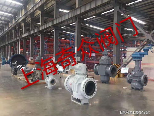 上海奇众阀门今年主要供货产品的精品高端阀门大型制造厂家